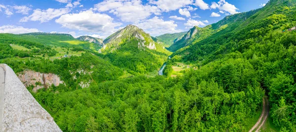 Otwarcie Krajobraz Mostu Djurdjevic Północ Czarnogóry — Zdjęcie stockowe