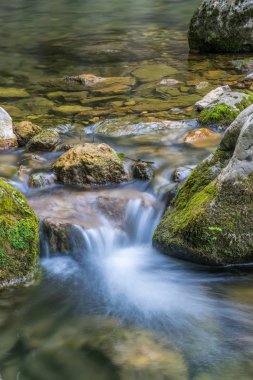 orman içinde taşlar arasında küçük pitoresk nehir akar