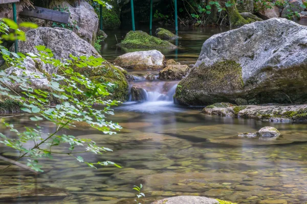 small picturesque river flows among stones in forest