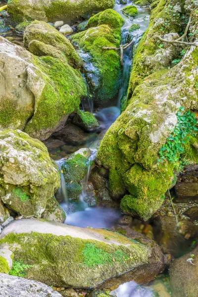 small picturesque river flows among stones in forest