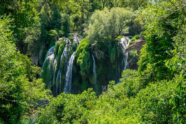 Живописный Водопад Текущий Густом Зеленом Лесу — стоковое фото
