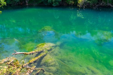mavi su altında yapışkanlık dışarı büyük eski budak