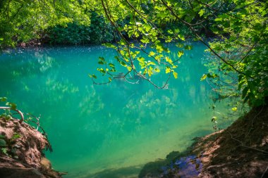 mavi su altında yapışkanlık dışarı büyük eski budak