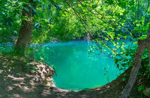 Laguna Esmeralda Bosque Verde Salvaje — Foto de Stock