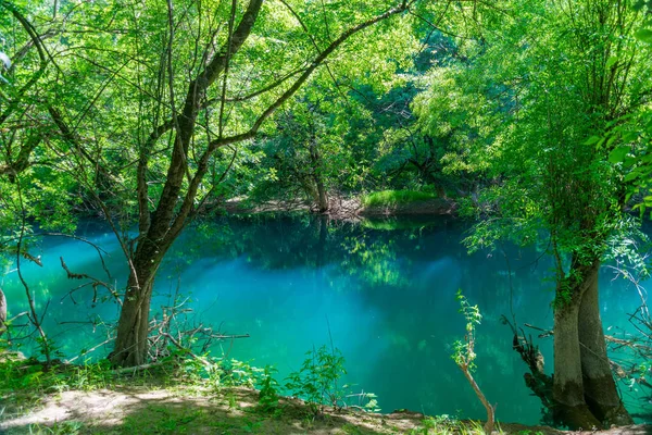 Laguna Smeraldo Nella Foresta Verde Selvaggia — Foto Stock