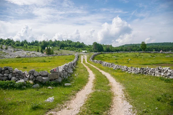 Вузька Сільська Дорога Веде Маленьких Будинків — стокове фото