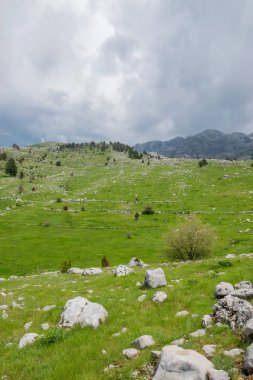 bulutlu havalarda dağlar arasında taşlı yeşil çayır