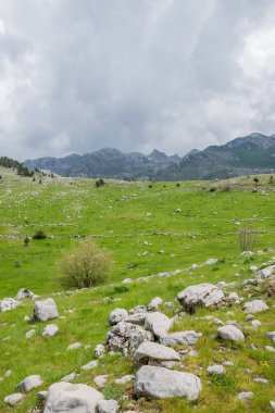 bulutlu havalarda dağlar arasında taşlı yeşil çayır