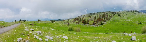 Steenachtige Groene Weide Onder Bergen Bewolkt Weer — Stockfoto