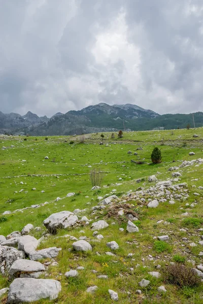 Prado Verde Pedregoso Entre Montañas Tiempo Nublado — Foto de Stock