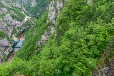 Baraj Mratine yakınındaki Piva Nehri'nin güzel kanyon