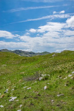 Karadağ Milli Parkı Durmitor'kuzeyindeki yüksek dağlarda ısmarlayarak