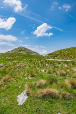 Dağları Milli Parkı Durmitor, Karadağ arasında pitoresk yol