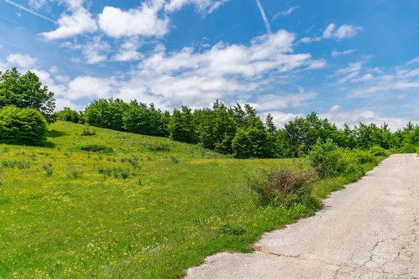 Landsbygdens Smal Väg Som Passerar Genom Ängar — Stockfoto