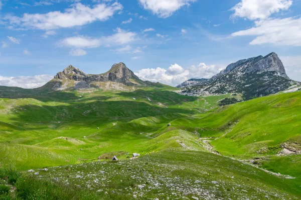 Dağ Manzaralı Görünümünü Geçmek Sedlo Kuzeyinde Karadağ — Stok fotoğraf