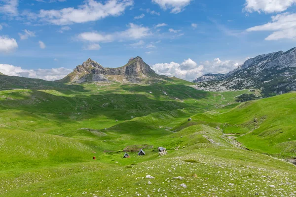 Malebný Pohled Mountain Pass Sedlo Severně Černé Hory — Stock fotografie