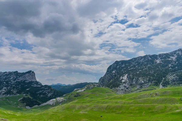 Karadağ Milli Parkı Durmitor Kuzeyindeki Yüksek Dağlarda Ismarlayarak — Stok fotoğraf