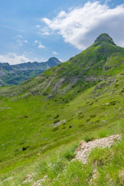 dolambaçlı yol pitoresk dağlar ile çalışan