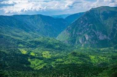 Yüksek dağlar yeşil derin kanyon panoramik manzaralı 