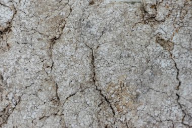 Kuru Köpük görünümü Kapat çatlaklar, kir ve kalıp ile kaplı