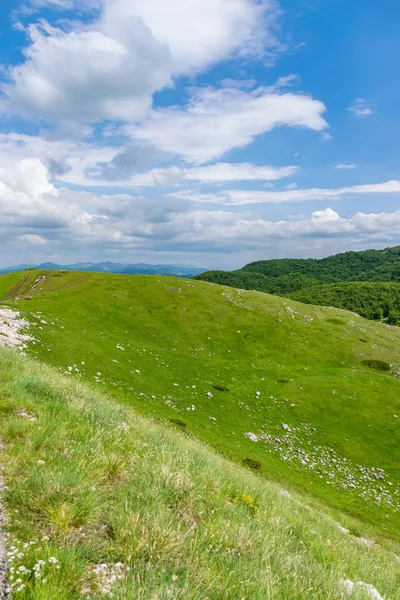 Gröna Ängar Stretching Bland Pittoreska Berg — Stockfoto