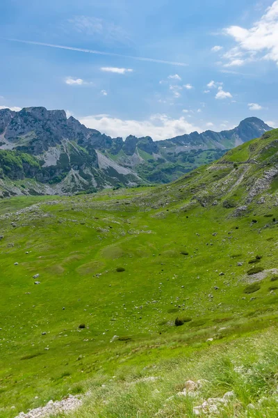  pitoresk dağlar arasında uzanan yeşil çayırlar