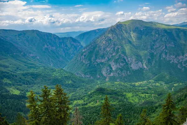 Панорамний Вид Зелений Глибокий Каньйон Високих Горах — стокове фото