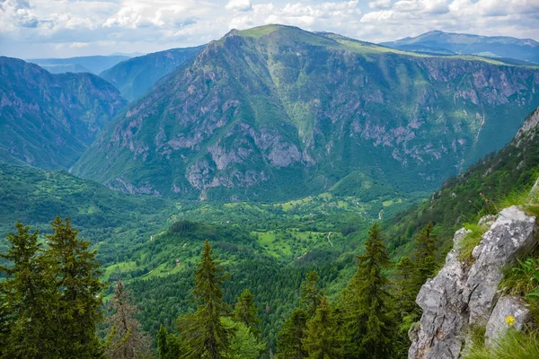 Yüksek Dağlar Yeşil Derin Kanyon Panoramik Manzaralı — Stok fotoğraf