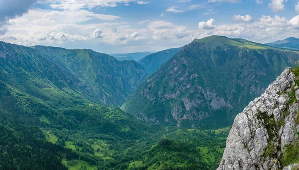 Panoramiczny Widok Zielony Głęboki Kanion Wysokich Górach — Zdjęcie stockowe