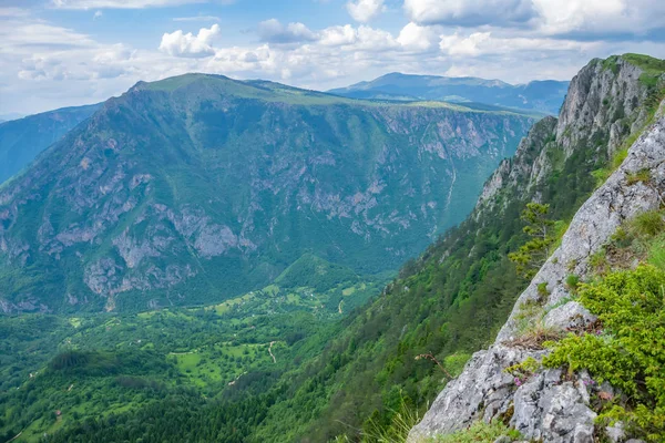 Panoramiczny Widok Zielony Głęboki Kanion Wysokich Górach — Zdjęcie stockowe