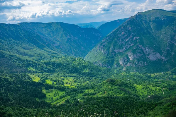 Panoramisch Uitzicht Groene Diepe Canyon Hooggebergte — Stockfoto