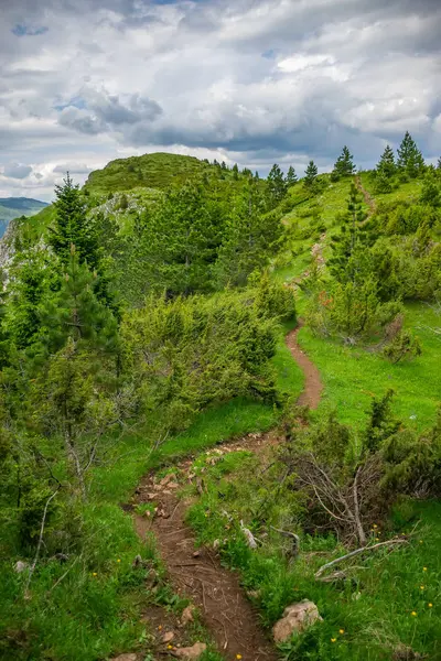 sarma izi orman yüksek dağlar arasında geçen