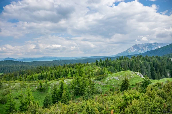 Piękny Widok Zielony Łąka Lesie Wśród Wysokich Gór Ogromne — Zdjęcie stockowe