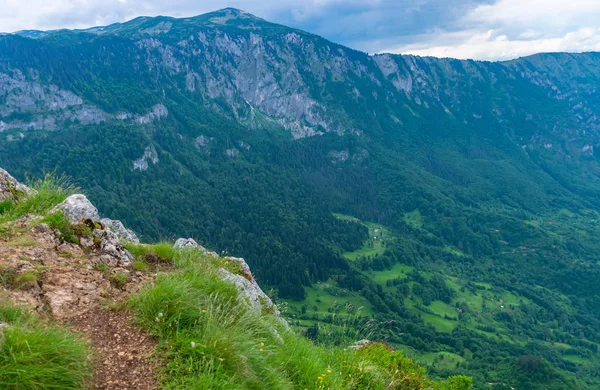 Yüksek dağlar yeşil derin kanyon panoramik manzaralı 