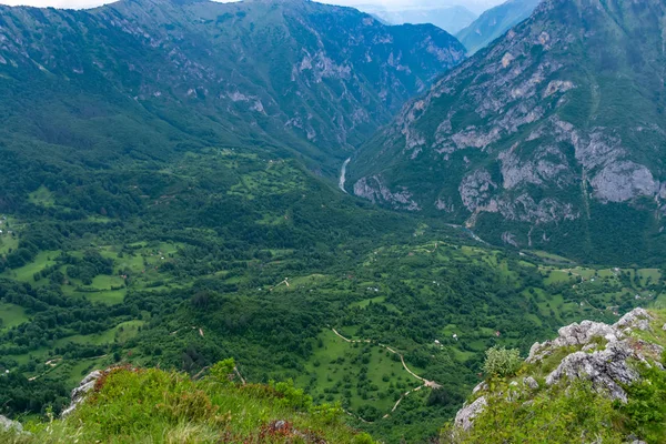 Yüksek dağlar yeşil derin kanyon panoramik manzaralı 