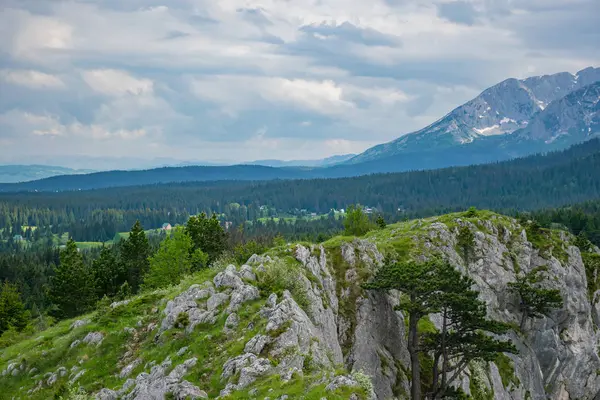 Yüksek dağlar yeşil derin kanyon panoramik manzaralı 