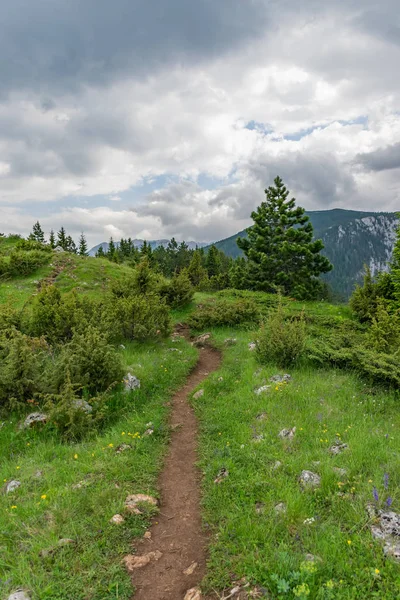 sarma izi orman yüksek dağlar arasında geçen