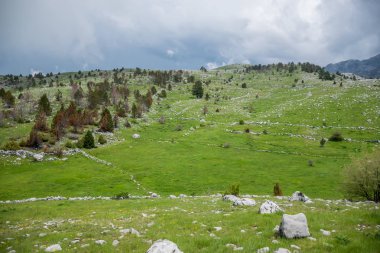 bulutlu havalarda dağlar arasında taşlı yeşil çayır