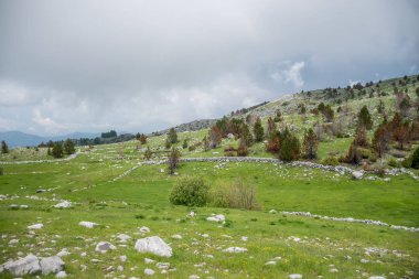 bulutlu havalarda dağlar arasında taşlı yeşil çayır