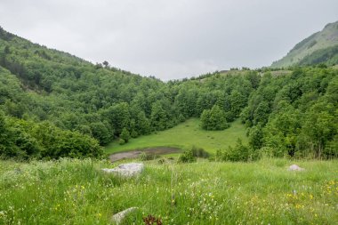 Yağmurlu bulutlar yeşil dağ çayır yaklaşıyor