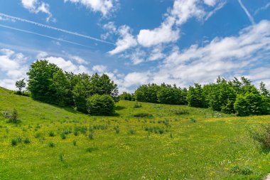  pitoresk dağlar arasında uzanan yeşil çayırlar