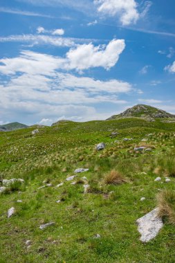 Karadağ Milli Parkı Durmitor'kuzeyindeki yüksek dağlarda ısmarlayarak