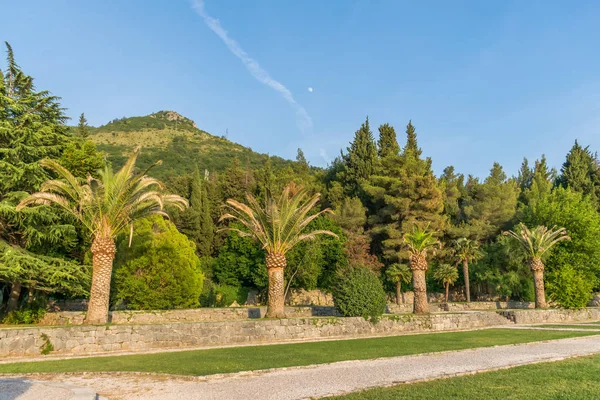 Park Milocer güzel yeşil çim