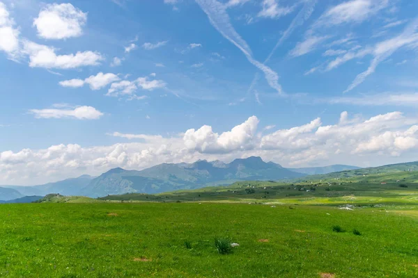 Живописный Зеленый Луг Севере Черногории Национальном Парке Дурмитор — стоковое фото