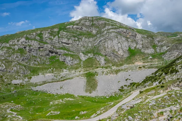 Pittoreska Vägen Bland Bergen Nationalparken Durmitor Montenegro — Stockfoto