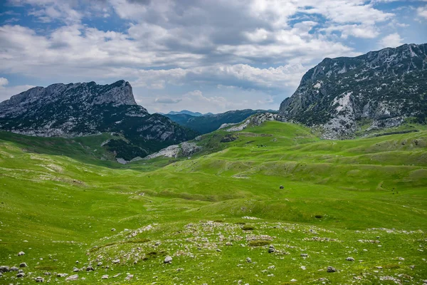 Karadağ Milli Parkı Durmitor Kuzeyindeki Yüksek Dağlarda Ismarlayarak — Stok fotoğraf