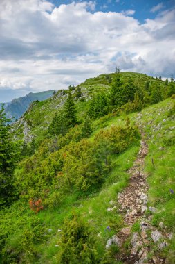 sarma izi orman yüksek dağlar arasında geçen