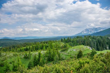 Yüksek büyük dağlar arasında ormandaki yeşil çayır doğal görünümü