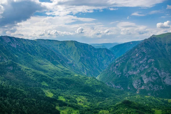 Панорамний Вид Зелений Глибокий Каньйон Високих Горах — стокове фото