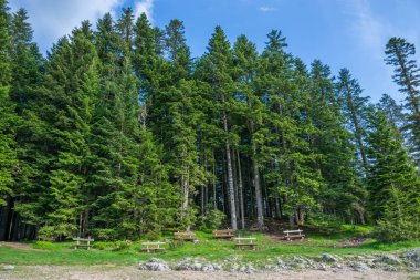 Kara Göl Durmitor Milli Parkı, Karadağ yakınındaki Ahşap banklar